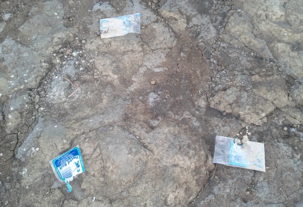 Fish Facts: The problem with plastic